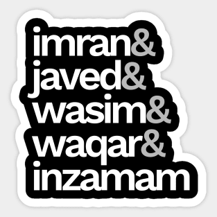 Pakistan Cricket Fan T-Shirt Sticker